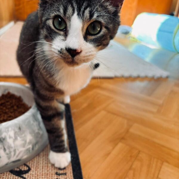 Mikki, 9-12 mēneši