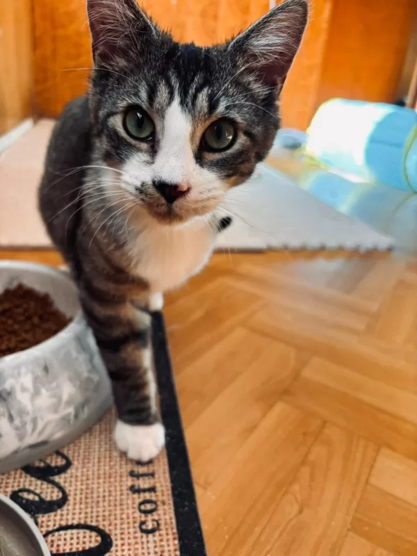 Mikki, 9-12 mēneši